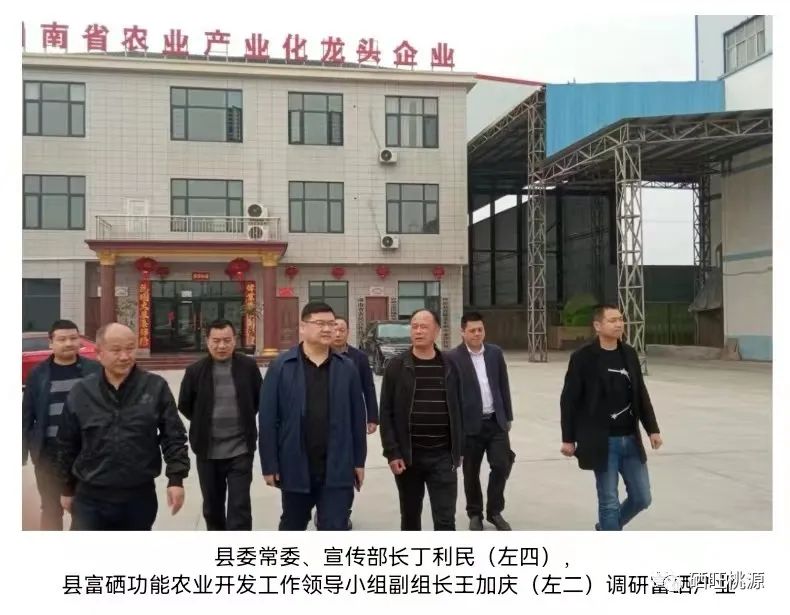 縣委常委、宣傳部長(zhǎng)丁利民調(diào)研富硒基地和預(yù)制菜產(chǎn)業(yè)